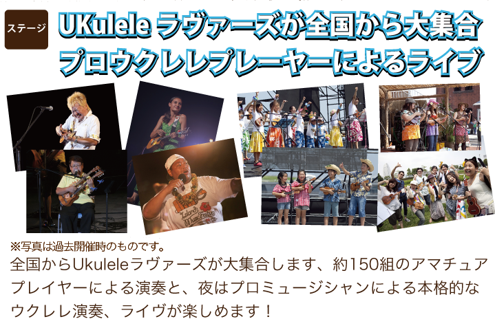 ukulelepicnic ウクレレピクニック2013TOP